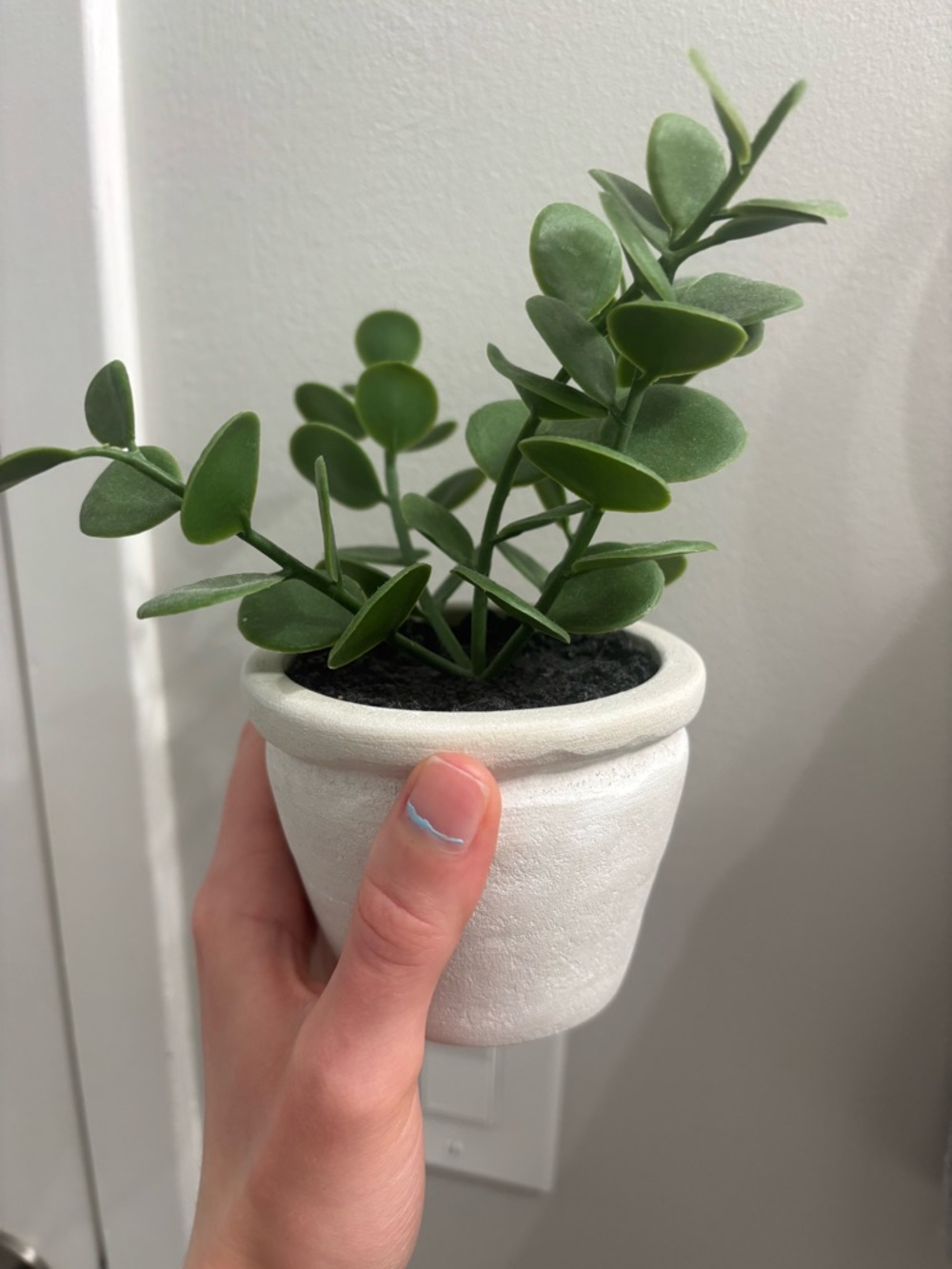 NWOT Faux Potted Eucalyptus Plant